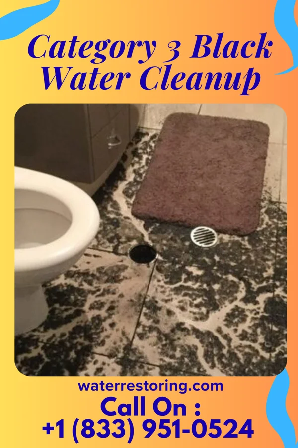 Category 3 Black Water Cleanup in Amber, OK